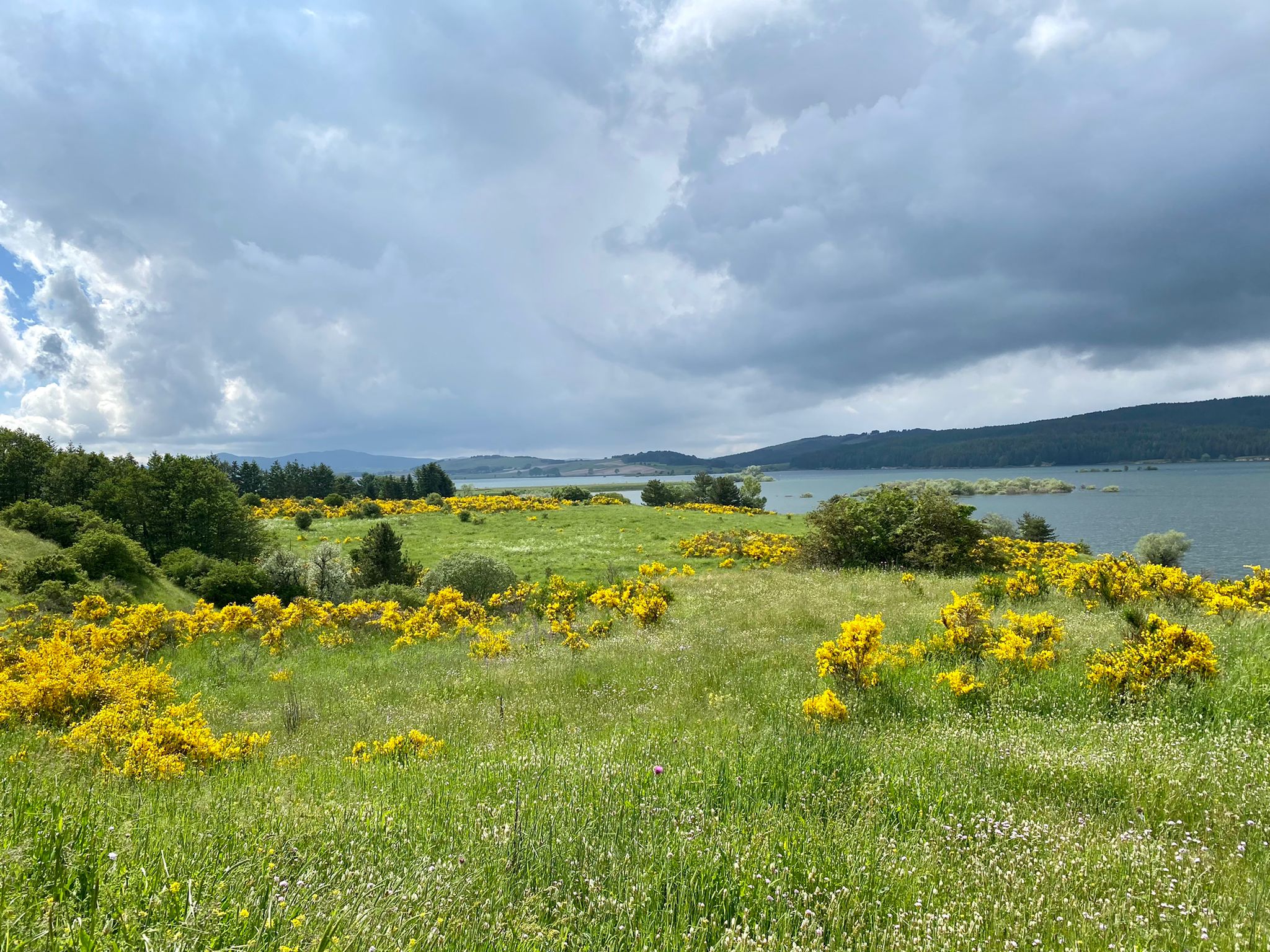 I laghi della Sila
