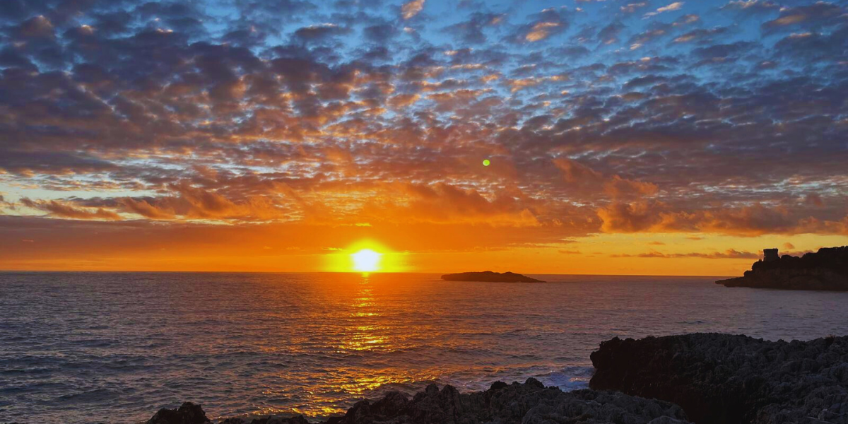 Libertà è partecipazione